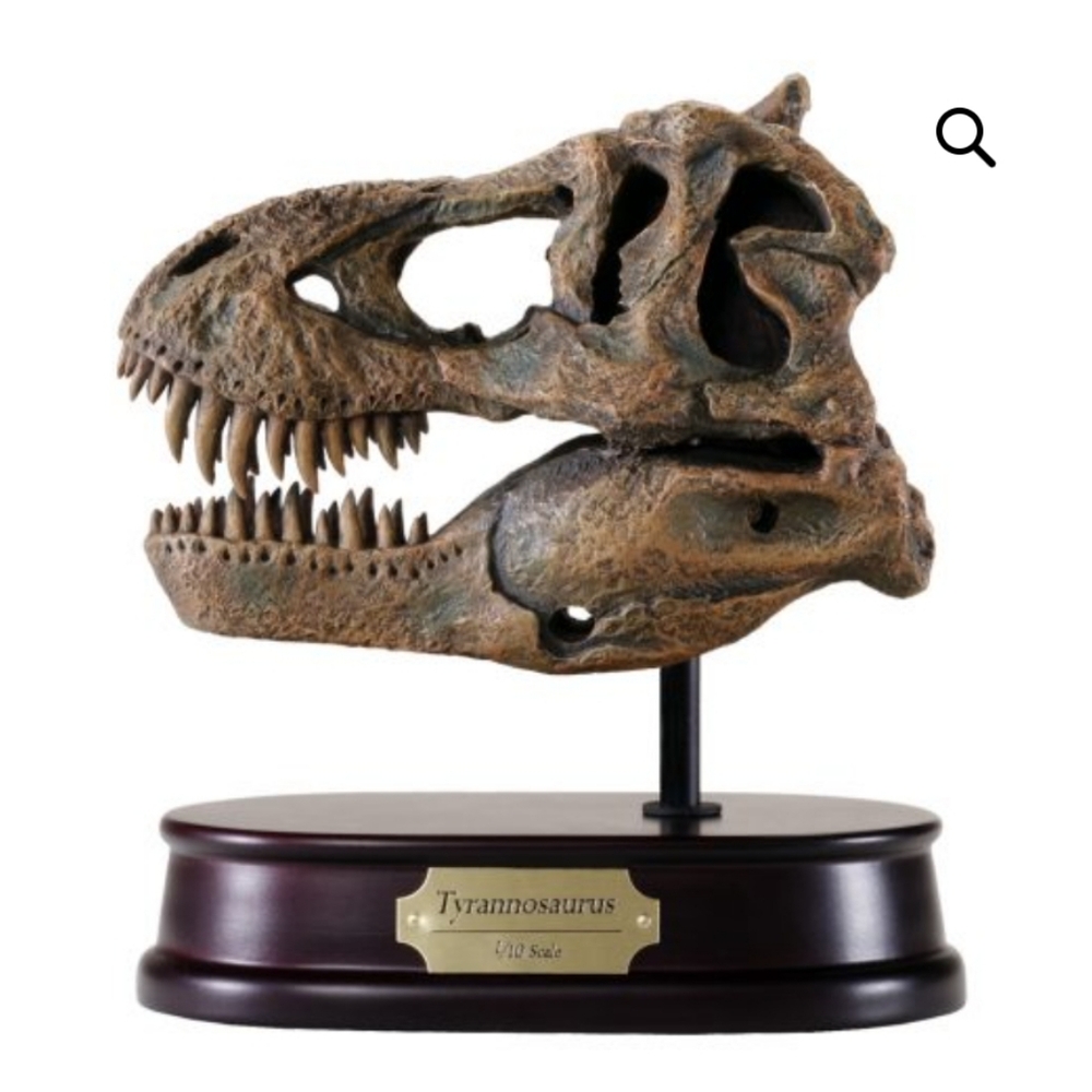 Tyrannosaurus Rex Skull Model with Brown Finish